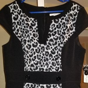 Zebra Dress (Studio One)